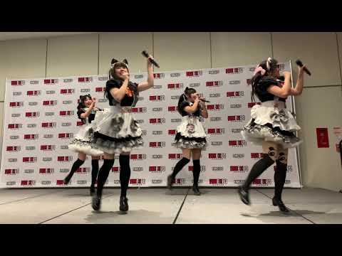 12 - Inu Neko. Seishun Massakari いぬねこ。青春真っ盛り (Wa-Suta わーすた)