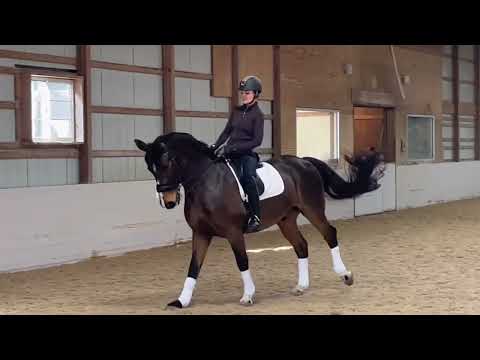 Echo ☆ 2006 Grand Prix Schoolmaster