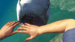 Far Cry 3 Gameplay - Shark Hunting [1080p] GT 650M