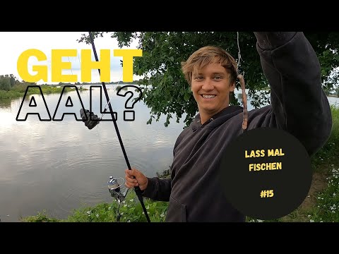 Können wir die Wasserschlangen überlisten?! - Aal angeln am Fluss