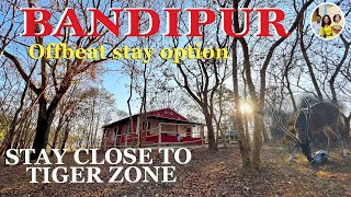 Stay close to Tiger zone in Bandipur tiger reserve | Thrilling journey to Bandipur resort