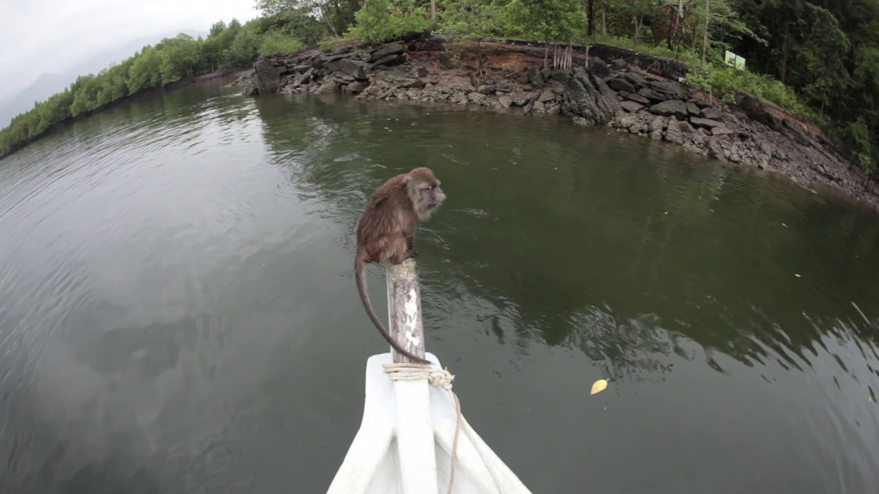 Malaysia: explore Langkawi, the Jewel of Kedah. Stunning wildlife and landscapes