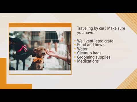 Vacation tips for pet owners