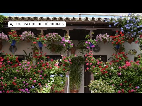 Los patios de Córdoba y la calle San Basilio 🪻