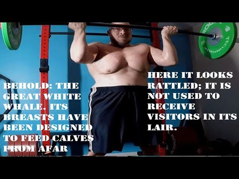 Fake Merc Character Study (Part 5) - Moody Dick - ARCHIVE