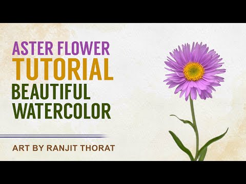 Beautiful Watercolor Tutorial | ASTER FLOWER | Artist Ranjit Thorat