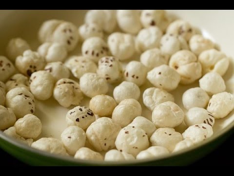 download lagu mp3 mp4 Fox Nut Images, download lagu Fox Nut Images gratis, unduh video klip Fox Nut Images