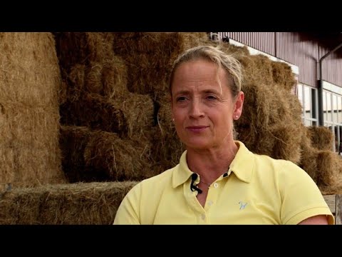 Reitstar Werth wird 50: Vom Bauernhof auf die große Olympiabühne