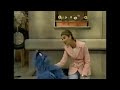 Celine Dion Happy To Meet You Sesame Street 1998