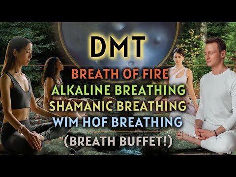 [BREATH BUFFET!] DMT Breathing - 60s Breathholds (3 Guided Rounds)