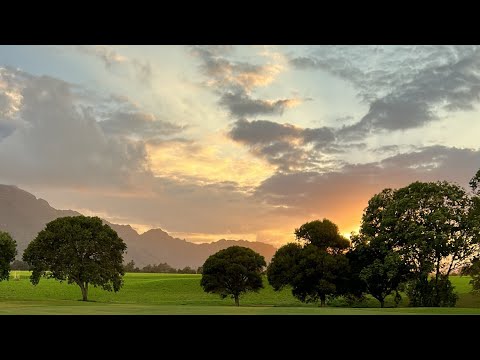 Rock steady in Jah’s open arms