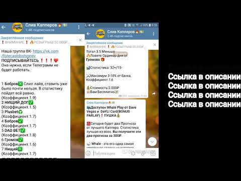 Бесплатный слив ставок на спорт Бесплатный слив ставок на спорт казино вулкан выигрыши casino vulcan info