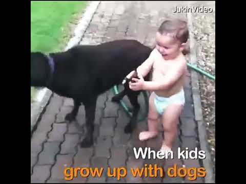 When kids grown up with dogs|| Thunder Buddie Videos    ||