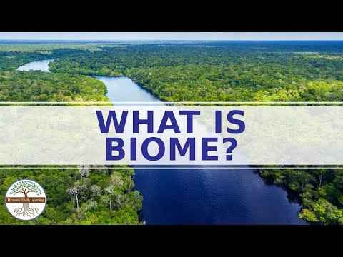 WHAT IS A BIOME?  - Enviromental Science  - CATEGORIES OF BIOMES