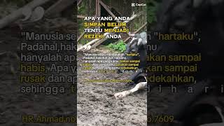 Download lagu Sapi FH Peternakan UGM #sapi #peternakan #peternakansapi mp3