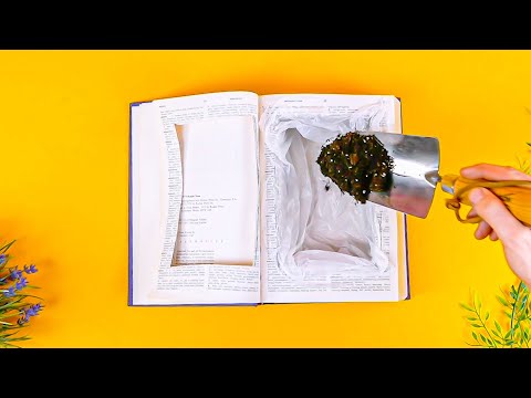 フラワーポット: 屋外スペースを明るくするアイデア!  庭園