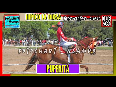 PUPERITA Tres Isletas CH 01 03 2026