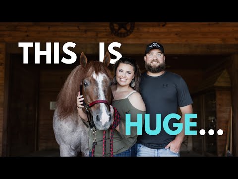 I Bought the Legendary Stallion, VS Code Red