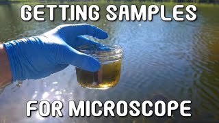 How To Get Water Samples For Microscope (Microorganisms)