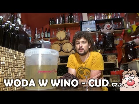 💬 How to turn WATER into WINE? Part 2🍷 + Cold Brewed Hibiscus + Persimmon Wine (bottling)