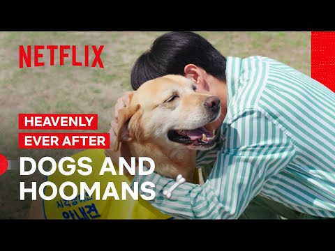 Dogs Reunite With Their Hoomans | Heavenly Ever After | Netflix Philippines