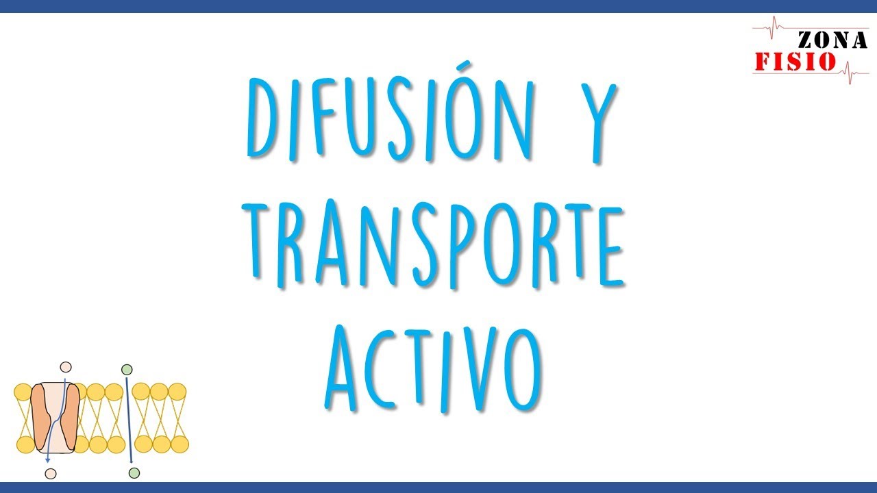 FISIOLOGÍA: DIFUSIÓN Y TRANSPORTE ACTIVO.
