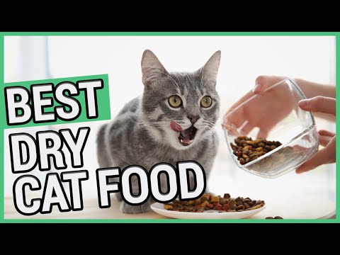 Best Dry Cat Food | TOP 5 Dry Cat Foods 2022 🐱 ✅