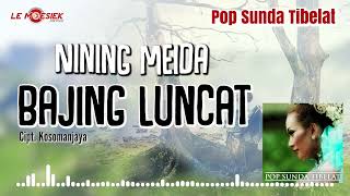 Download lagu Nining Meida - Bajing Luncat ( Audio ) mp3 Download lagu Nining Meida - Bajing Luncat ( Audio ) mp3