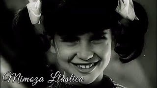 Mimoza llastica (Film Shqiptar/Albanian Movie)