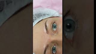 Natural Eyebrows Microblading by El Truchan @ Perfect Definition
