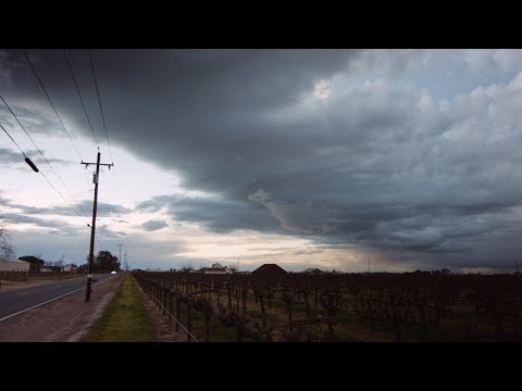 T I M E  F L I E S  - BMPCC OG & BMMCC - 2022