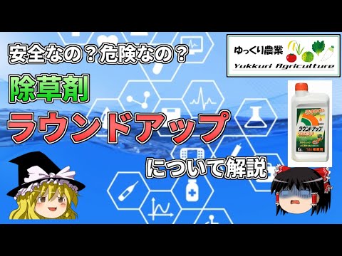 実験室の安全性について詳しく解説