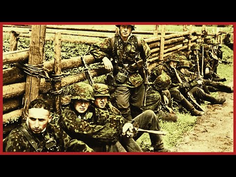 When the Ukrainian Waffen-SS Rebelled | The Ukrainian SS Mutiny that Surprised Everyone