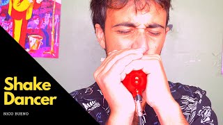 Shake Dancer - Little Walter harmonica instrumental cover  (Chicago blues) Nico Bueno