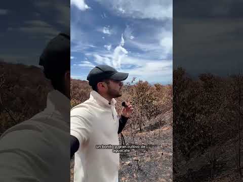 El fuego que consume Tolima: una crisis sin fin causada por Israel!