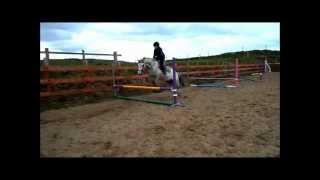 preview picture of video 'Horse Jumping Lesson - Grid Work'