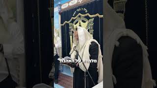 האהבה הגדולה שה׳ שולח אלינו | הרב שמואל אליהו | הלכה יומית | ב׳ טבת תשפ״ו (הרב שמואל אליהו) - התמונה מוצגת ישירות מתוך אתר האינטרנט יוטיוב. זכויות היוצרים בתמונה שייכות ליוצרה. קישור קרדיט למקור התוכן נמצא בתוך דף הסרטון