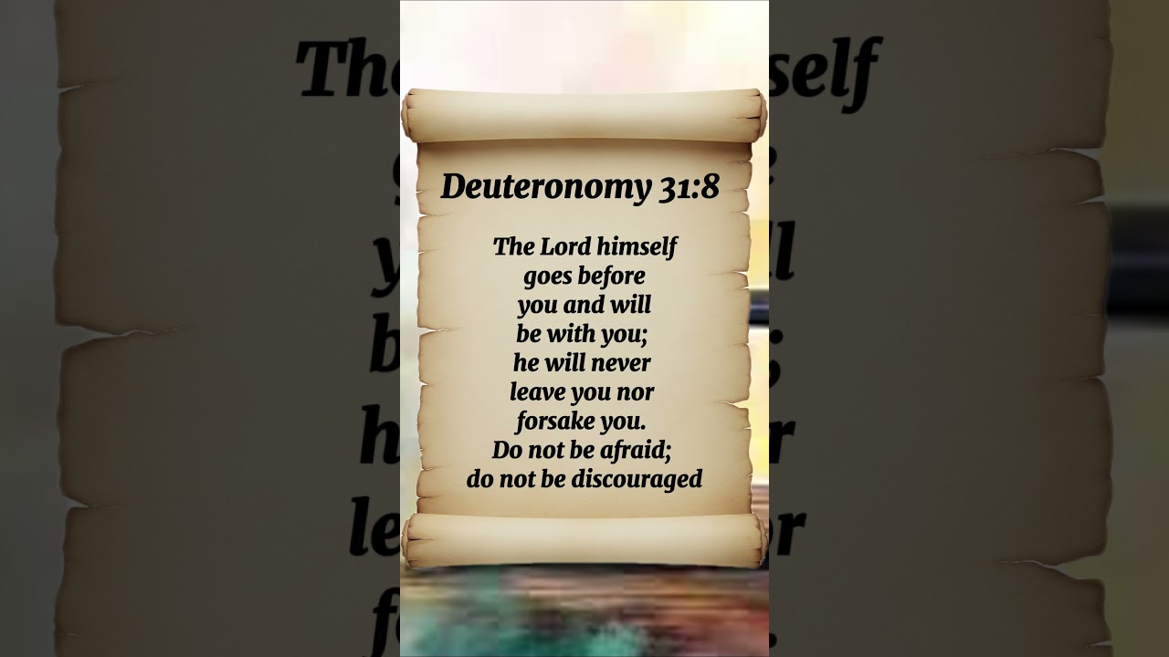 Deuteronomy 31:8 The Lord himself goes before you and will be with you; he will never leave you nor