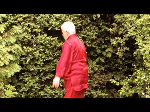 Qigong Reinigungsübung