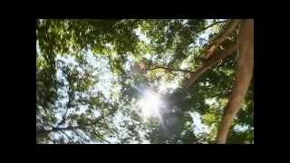 K.BOYZ I&#39;M YOUR&#39;S.wmv