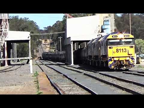 Pacific National Grain trains on the Murray Basin line - Australian Trains