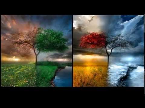 Papa Jr. & Moni-K - Anotimpuri