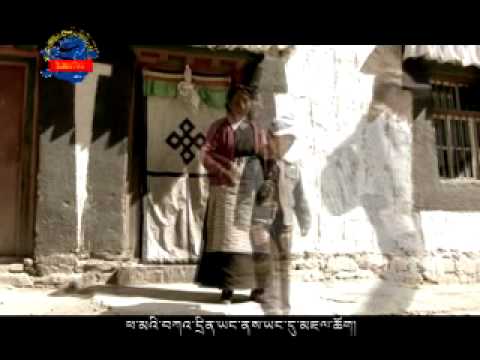 Tersey Tsephun New Project    2011