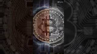 Bitcoin World🔥 || Support My Channel || @Crypto Guy Bangla
