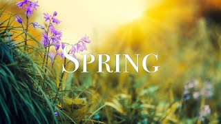 Download lagu SPRING VIDEO | Free Stock Footage | Free HD Video - no copyright mp3 Download lagu SPRING VIDEO | Free Stock Footage | Free HD Video - no copyright mp3