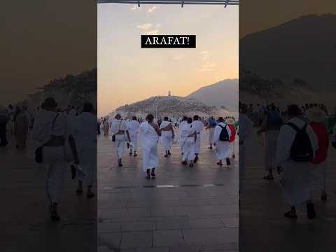 Arafat Hajj 2024 | Makkah, Saudi Arabia | Seven Tourism | #hajj #hajj2024 #hajjlive #arafat #mina