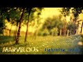 The Lightning Seeds - Marvellous