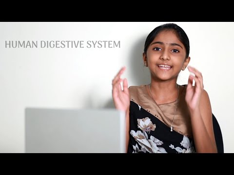 Human Digestive System | Education | Learning for Kids | Samyuktha Vijai