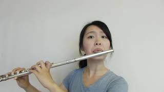 洪佩瑜Pei-Yu Hong - 踮起腳尖愛Love On Tiptoes《電視劇 我可能不會愛你 插曲》-----Flute cover by Fanny