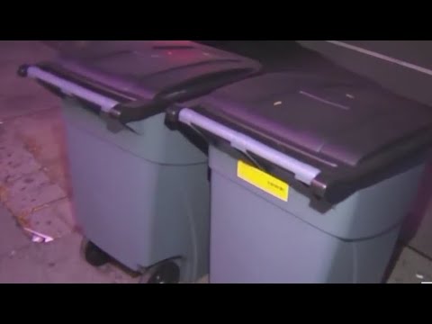 New trash disposal rules in NYC take effect on Sept. 5